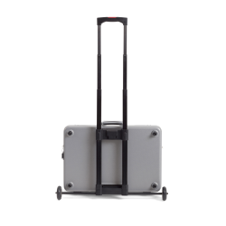 Trolley Mobil Skater