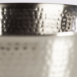 Wellness-Fodbadekar Shelly